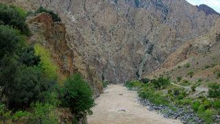 Araç nehre uçtu, 8 kişi yaralandı