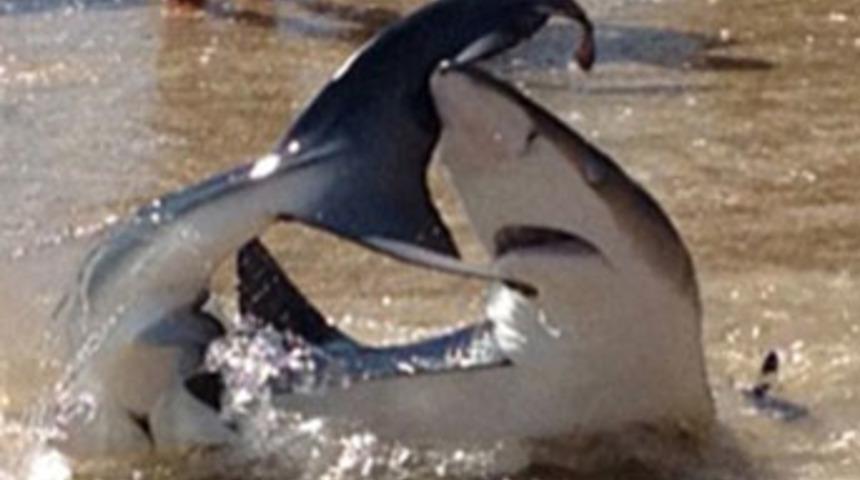 62'lik dedenin cesareti herkesi şoke etti