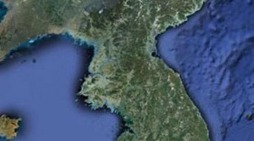 Google'a Kuzey Kore vizesi