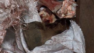 Mide bulandıran görüntüler! Bunları insanlara yedireceklerdi