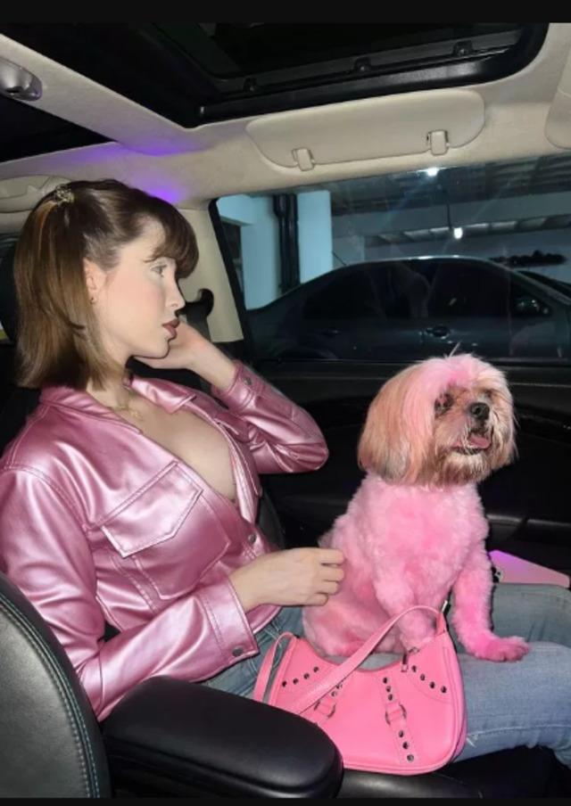 Sosyal medya fenomeni Sabrina Low, köpeğini kıyafetin uyması için pembe renge boyayınca tepkilerin odağına yerleşti! "Kıyafetime uysun istedim" 640xauto