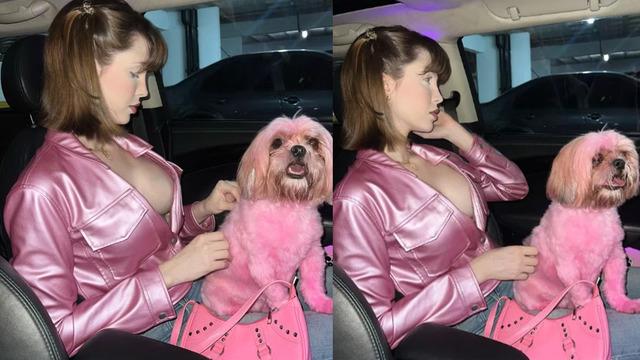 Sosyal medya fenomeni Sabrina Low, köpeğini kıyafetin uyması için pembe renge boyayınca tepkilerin odağına yerleşti! Kıyafetime uysun istedim