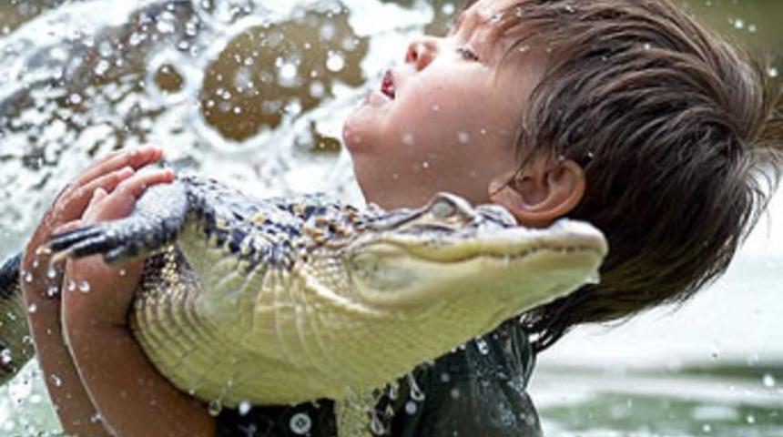 3 yaşında ama timsahlarla boğuşuyor!