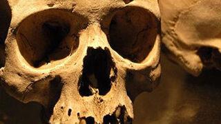 Büyü yapmak için çaldılar