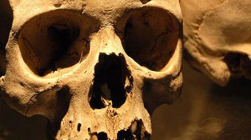 Büyü yapmak için çaldılar