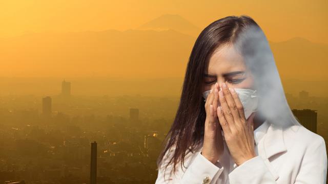 Uzman isimden toz taşınımı uyarısı: Solunum yolu hastalığı olan kişilerde ciddi semptomlara neden olabiliyor