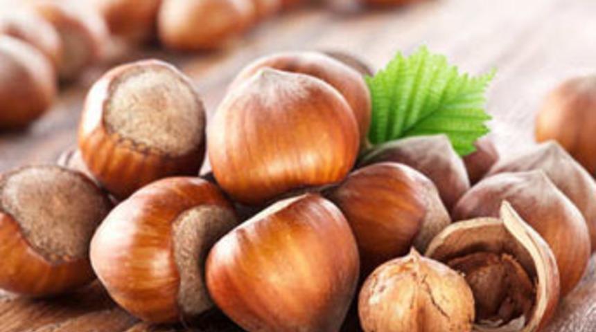 'Giresun fındığı anne s&uuml;t&uuml;n&uuml; artırıyor'