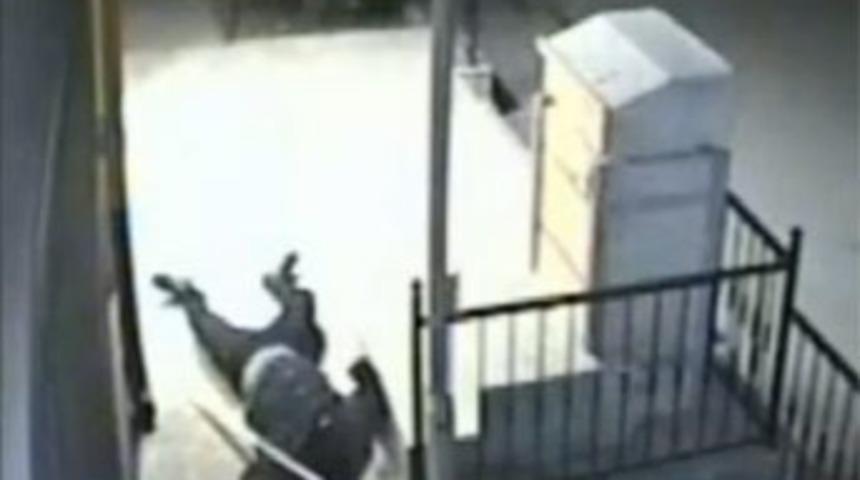 Bu hırsızı izlerken çok güleceksiniz