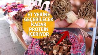 Ormandan topladılar, pazarda sattılar: Kilo fiyatı yarım altınla yarışıyor! 1 tanesi 1 kilo et kadar proteinli