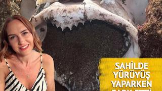 Sahilde yürüyüş yaparken fark etti! '5 yaşındaki bir çocuk kadar büyük' diyerek tanımladı... Baktıkça çok üzüldük