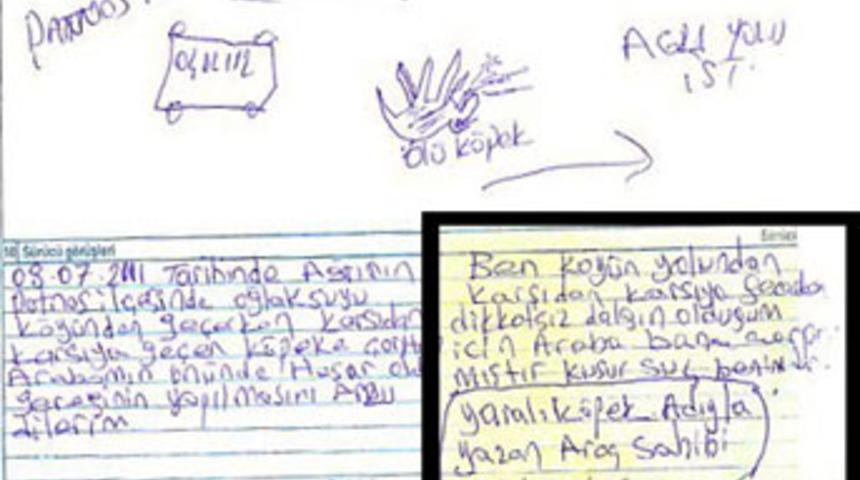 Öldürdüğü köpeğin ağzından tutanak!