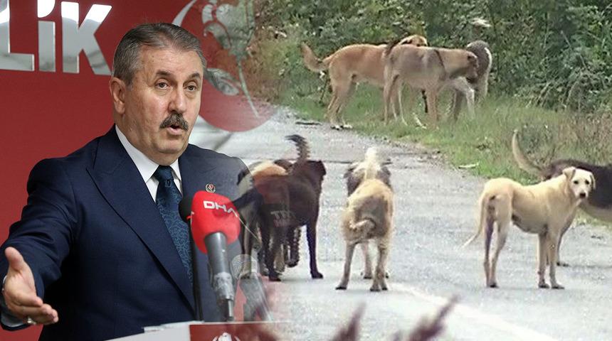 BBP lideri Destici 'Çok net ifade etmek istiyorum' diyerek açıkladı: 'Çok saldırgan köpekleri uyutacağız'