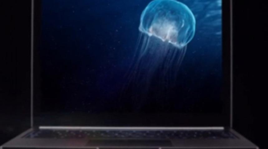 Dokunmatik ekranlı Chromebook için çalışıyor!