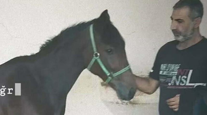 Hipodroma gidiyordu... Seyisi hayattan koparan yumruk! 97 gün sonra acı haber geldi