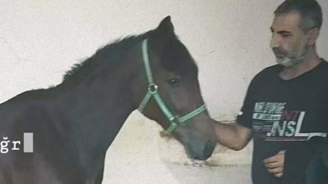 Hipodroma gidiyordu... Seyisi hayattan koparan yumruk! 97 gün sonra acı haber geldi