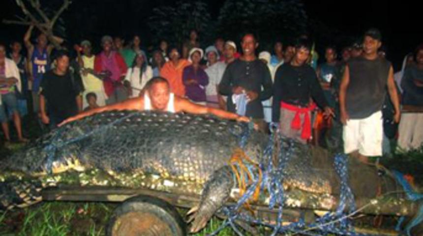 En b&uuml;y&uuml;k timsah &ouml;ld&uuml;!