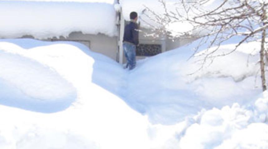 Bakar mısınız, burası benim evim mi acaba?