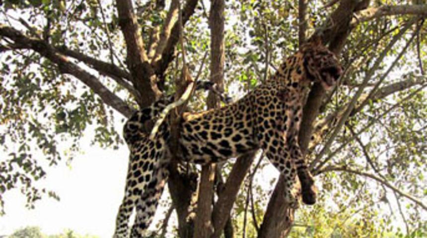 Cezası &ouml;l&uuml;m oldu