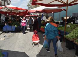 Fiyatlar yarıya düştü! 'Daha da düşüreceğiz' Dikkat çeken oranda indirim... 'Etiketler tam halkın istediği gibi'