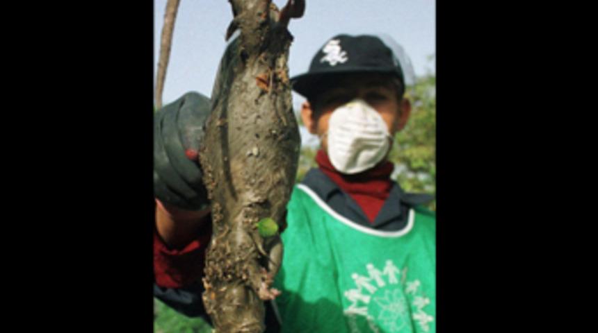 Halkın korkulu r&uuml;yası oldular