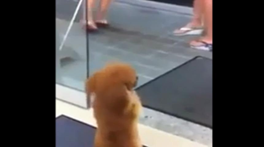 G&uuml;lme krizine gireceksiniz!