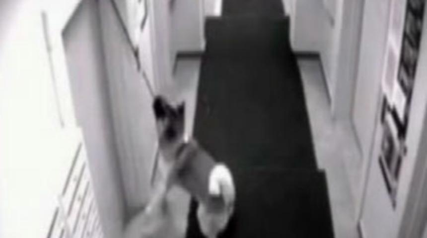 Bir anlık dalgınlığın getirdiği dehşet!