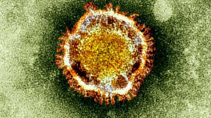 Ölümcül yeni bir virüs dünyayı tehdit ediyor!