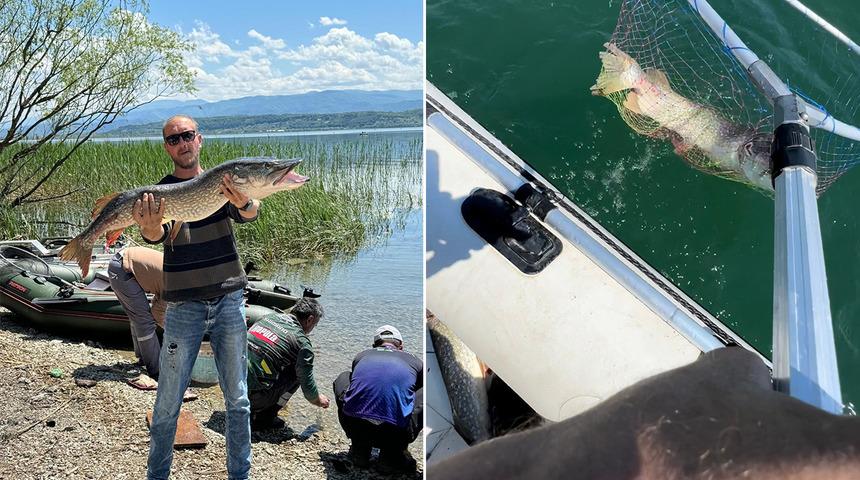 Dev balığı yakalayınca sevinçten deliye döndüler! "Kocaman, bu canavar"