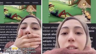 Ağustos böceğinin gerçek ömrünü öğrendi! Yıllardır anlatılan hikayeye isyan etti... Böyle bir şey olabilir mi ya?