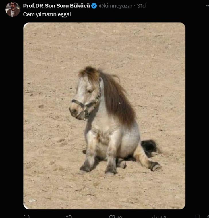 Mert Demir ve Serenay Sarıkaya sonunda el ele görüntülendi! Yorumlar gecikmedi: "Gözler Cem Yılmaz'da..." G5