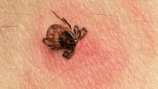 Havalar ısındı, tehlike yine ortaya çıktı! “Küçük ama sıkıntısı büyük oluyor”