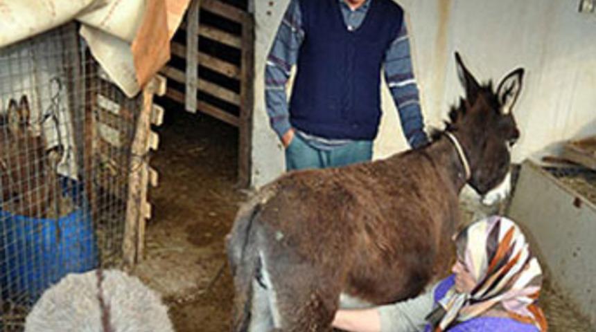 'Eşek sütü haramdır'