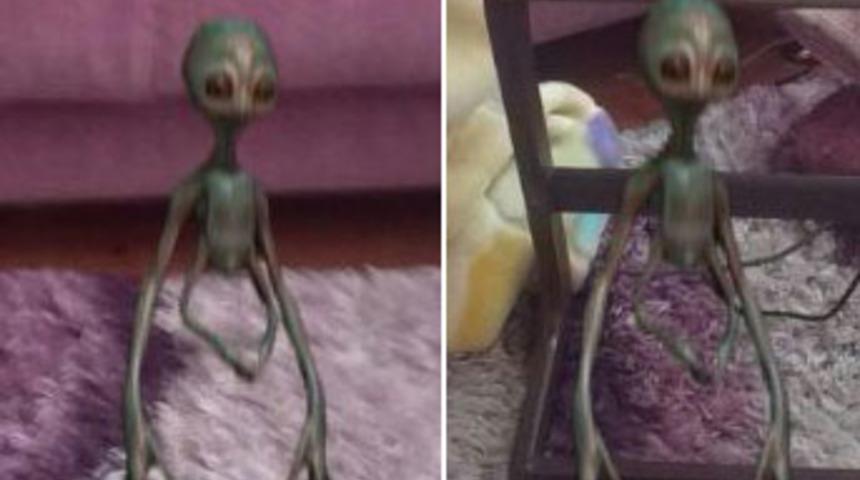 Bitlis&rsquo;te 'tanımlanamayan yaratık' paniği