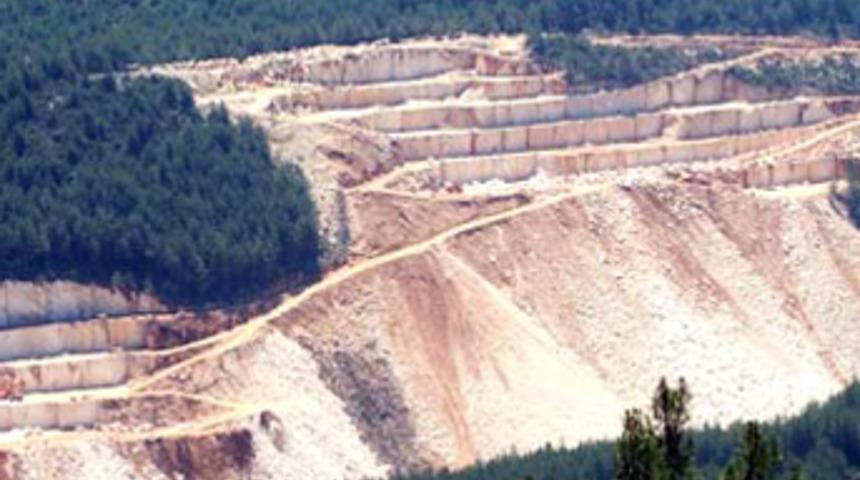 Taş ocakları sedir ağaçlarını yok ediyor