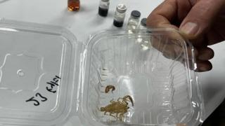 Akrep derisinden üretildi! Astronotlara özel... Bakın ne için kullanılacak