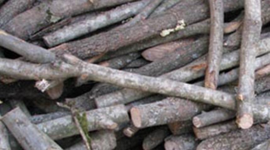 Başına odunla vurup 'Pardon benzetmişim' dedi