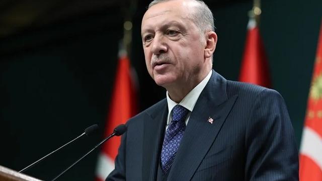 Cumhurbaşkanı Erdoğan, Almanya Cumhurbaşkanı Steinmeier ile görüşecek