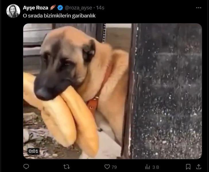 Survivor Yunanistan birleşme partisi dillere düştü! "Acun abi bizimkiler gariban mı?" G5