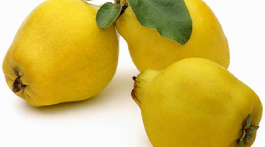 Kış hastalıklarına ayva suyu