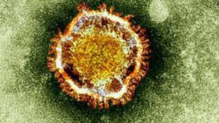 Dünyada 'corona' alarmı