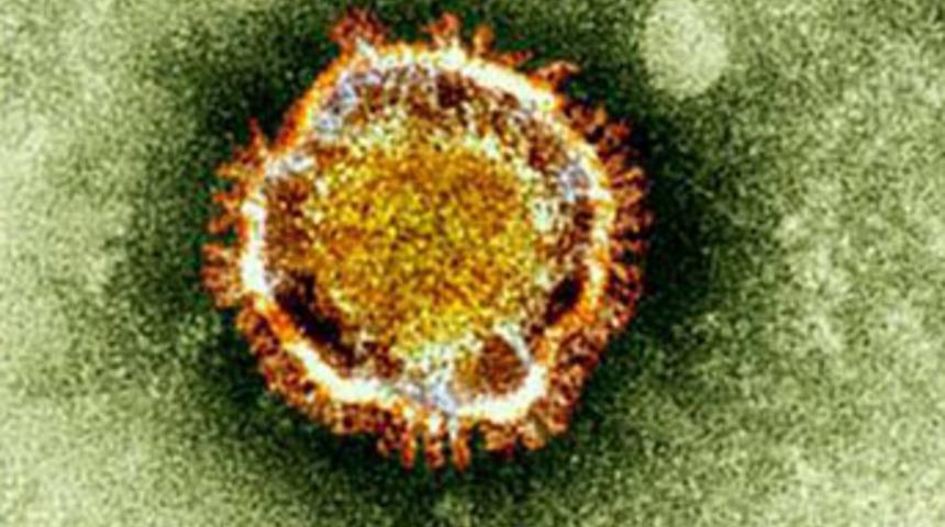 Dünyada 'corona' alarmı