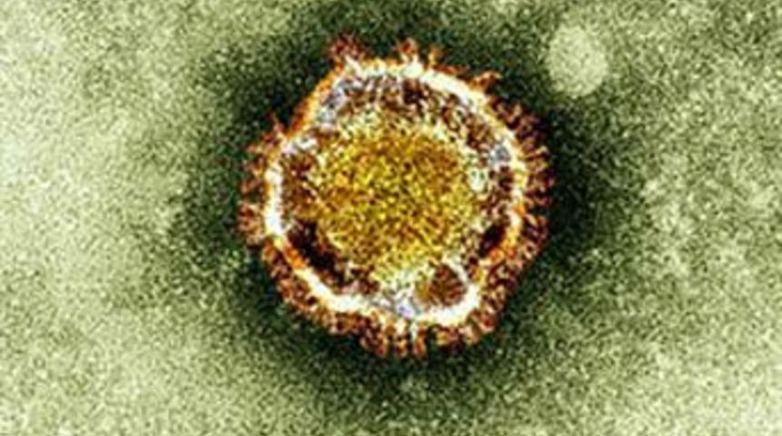 İngiltere'de ölümcül virüs paniği!