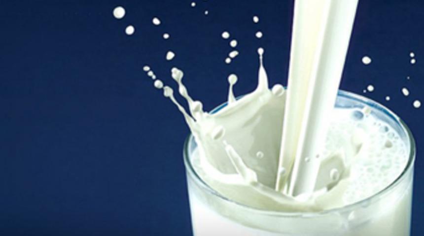 Balkanlar'da kanserojen süt alarmı