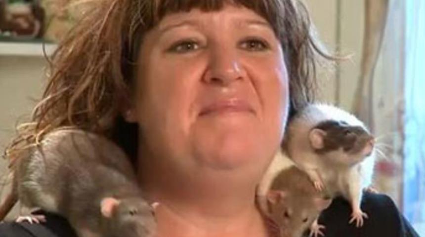 Fareler için her şeyden vazgeçti!