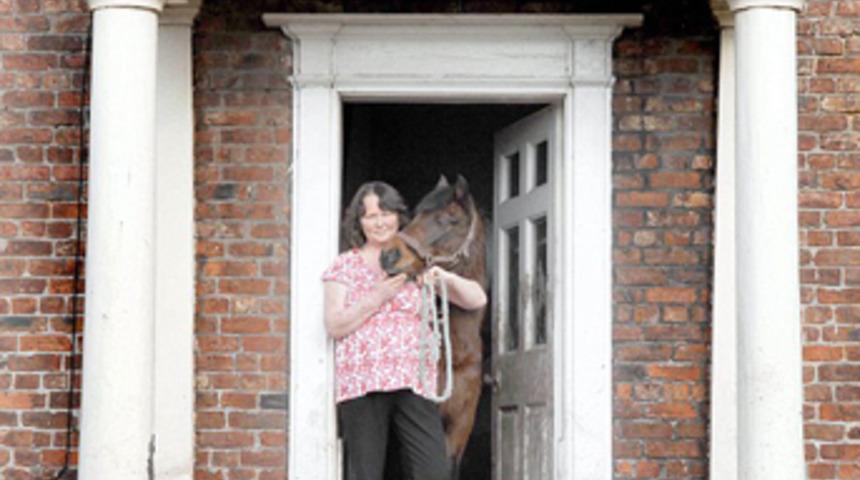 Market alışverişinden at ile döndü