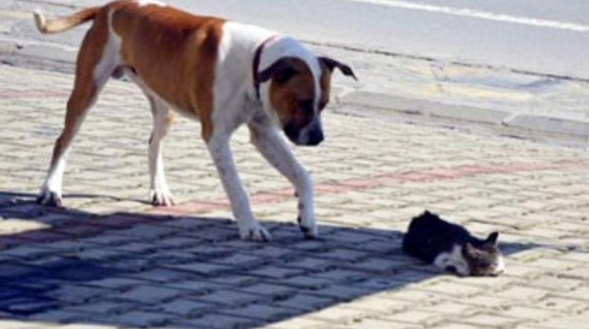 'İnsanlar yürüyüp gitti, o ise...'