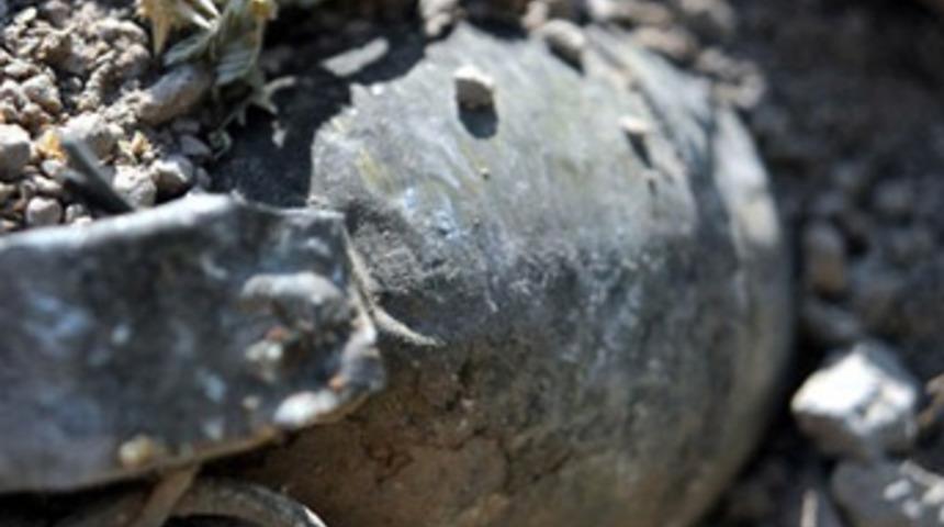 Alayda patlama: 1 yarbay yaralı