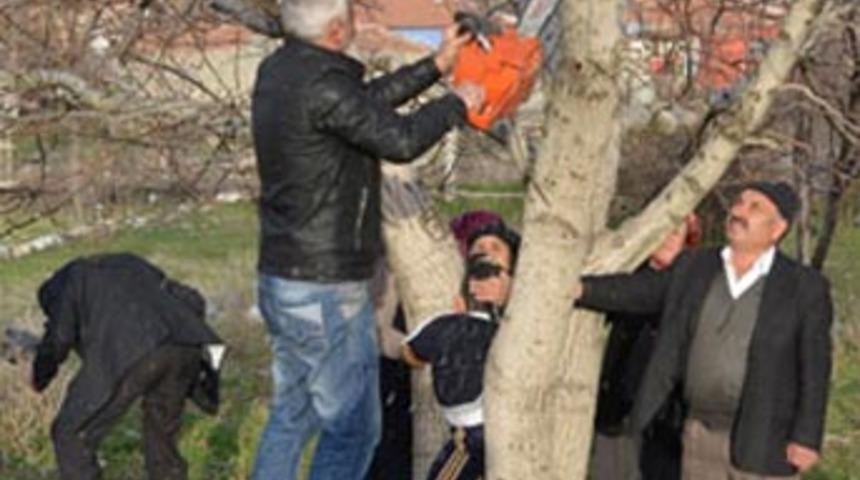 K&uuml;&ccedil;&uuml;k Arda ağacın g&ouml;vdesine sıkıştı