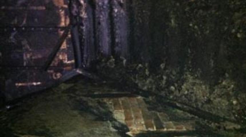 Anne ve yedi çocuğu toprağa verilecek