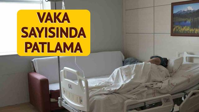 Türkiye'nin en riskli bölgesi o ilde! Vatandaşlara 'hayati' uyarı: Henüz tedavisi bulunamadı